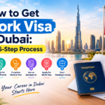visa process